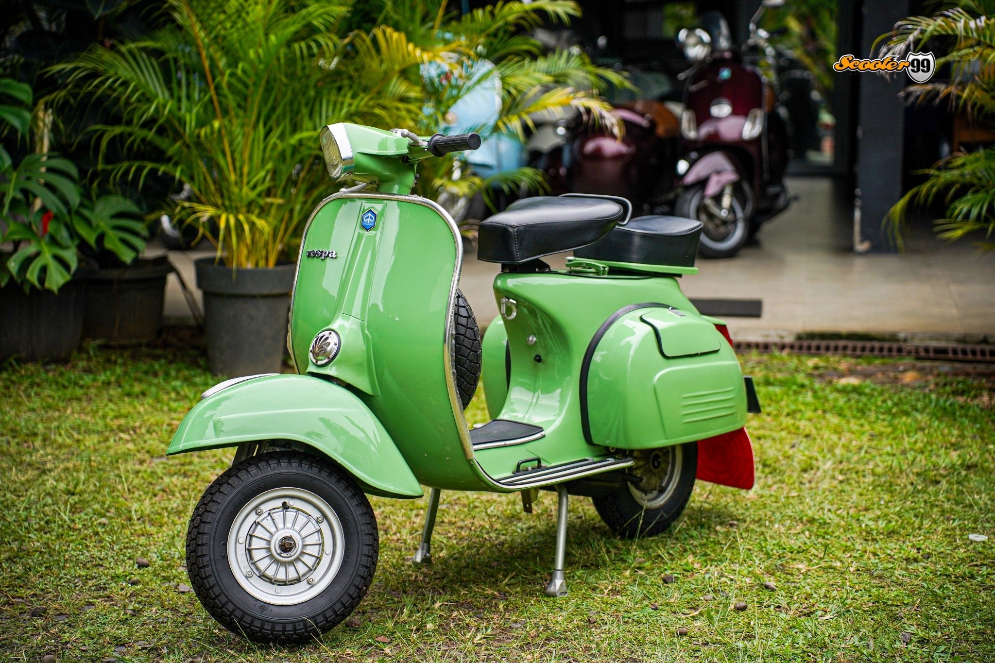 Vespa Super 150 Classic Green – rear view